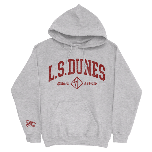 Athletic Logo Pullover Hoodie (Heather Gray)